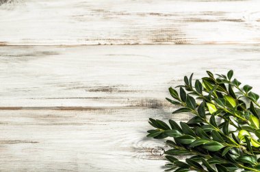 Ahşap arka plan Paskalya sembolü olarak Paskalya Şimşir.