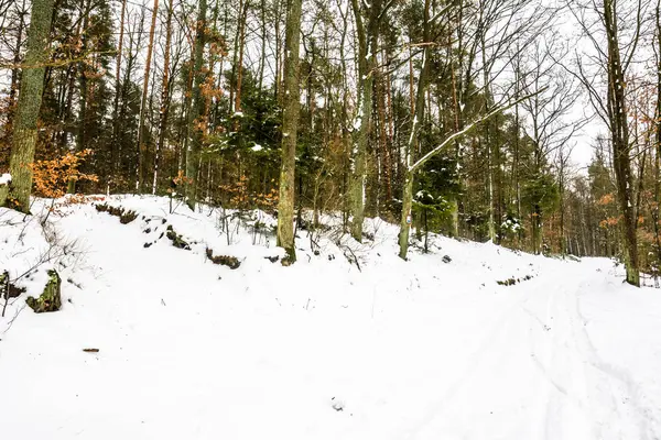 Paesaggio di foresta invernale, strada nella neve — Foto Stock