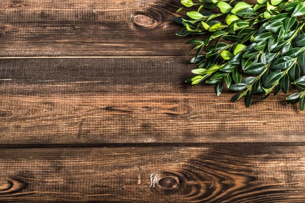 Пасхальное дерево в качестве пасхального символа на деревянном фоне . — стоковое фото