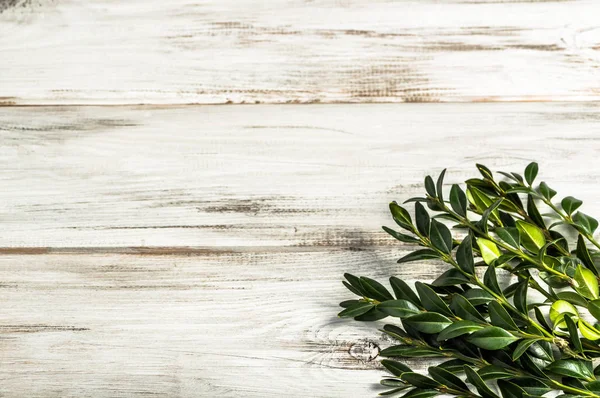 Ahşap arka plan Paskalya sembolü olarak Paskalya Şimşir.