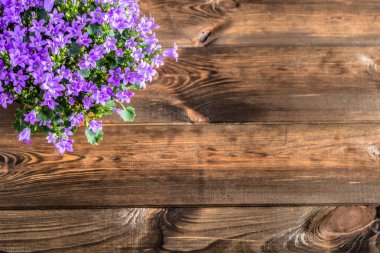 Bahar çiçekleri arka plan kopya alanı ile.