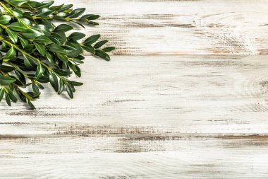 Ahşap arka plan Paskalya sembolü olarak Paskalya Şimşir.