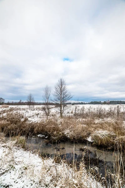 Landschap van velden door de rivier tijdens watervalen op vroege voorjaar of late winter — Stockfoto
