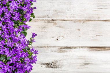 Bahar çiçekleri arka plan kopya alanı ile.