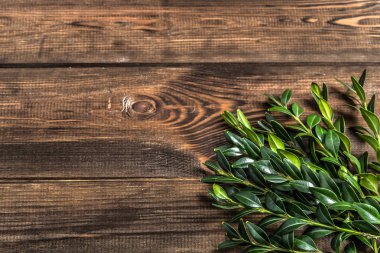 Ahşap arka plan Paskalya sembolü olarak Paskalya Şimşir.