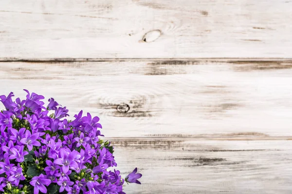 Wiosenne kwiaty ramki na drewnianym tle — Zdjęcie stockowe