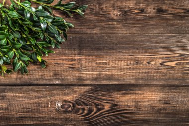 Ahşap arka plan Paskalya sembolü olarak Paskalya Şimşir.