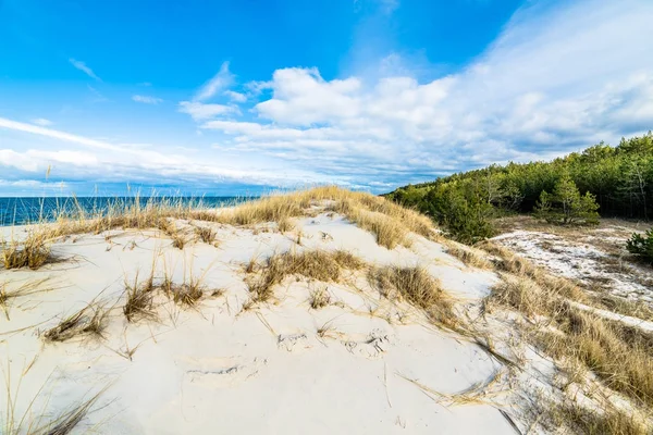 Mar paisagem de praia e céu azul. Duna de areia com grama e pinhal — Fotografia de Stock