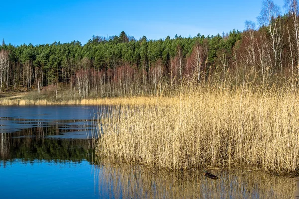 Paisaje salvaje del lago, deshielo primaveral, hielo derretido en el agua — Foto de Stock