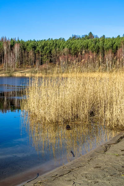 Paesaggio lacustre selvaggio, disgeli primaverili, scioglimento del ghiaccio sull'acqua — Foto Stock