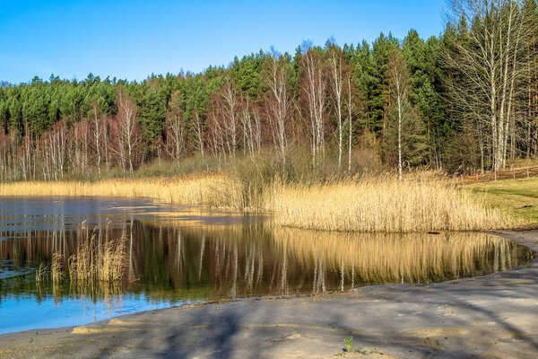 Дикое озеро пейзаж, весенняя оттепель, таяние льда на воде
