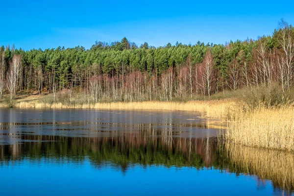 Paesaggio lacustre selvaggio, disgeli primaverili, scioglimento del ghiaccio sull'acqua — Foto Stock