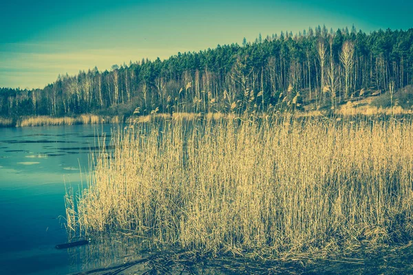 Дикое озеро пейзаж, весенняя оттепель, таяние льда на воде — стоковое фото