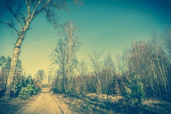 Landscape of road through field and forest in spring, vintage photo — Stock Photo, Image