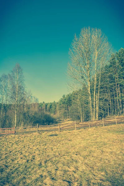 Frühlingslandschaft von Feld und Wald, Jahrgangsfoto — Stockfoto
