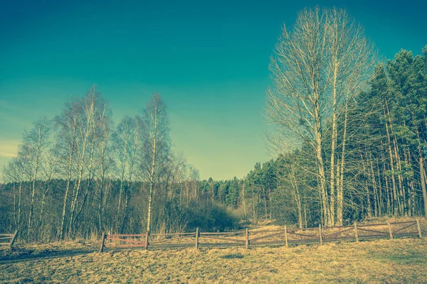 Spring landscape of field and forest, vintage photo — Stock Photo, Image