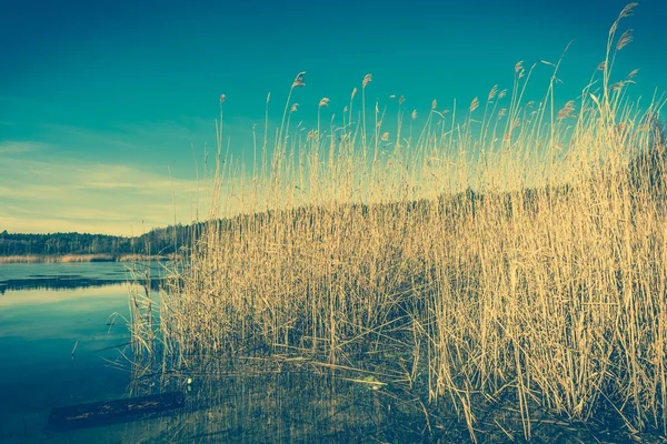 Wilde meer landschap, voorjaar watervalen, smeltend ijs op het water — Stockfoto