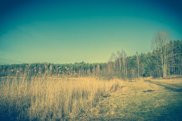 Paysage de l'environnement naturel dans les paysages sauvages sur le lac avec de l'herbe sur le rivage — Photo