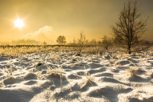 Paysage hivernal magique avec neige à la campagne, soleil et ciel bleu, concept de Noël blanc — Photo