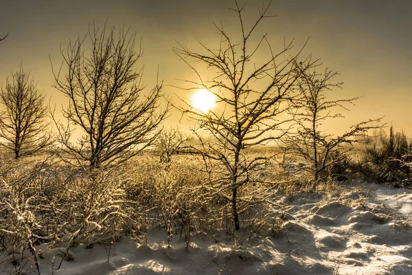 Paysage hivernal magique avec neige à la campagne, soleil et ciel bleu, concept de Noël blanc — Photo