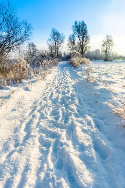 Magico paesaggio invernale con neve in campagna, sole e cielo blu, bianco concetto di Natale — Foto Stock