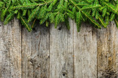 Yeşil çam dalları, Noel rustik arka plan kopya alanı ile