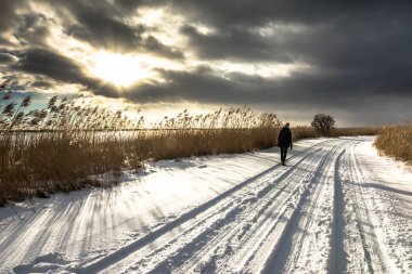 Kar kış sahne üzerinde la ile yolda yürüyen Boho kadın