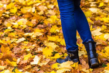 Sonbahar, kadın moda, walkin ayakkabılar bacaklar için kadın ayakkabı