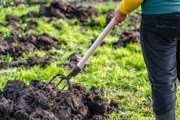 Bahçe, bahar bahçe, organik tarım kavramı çalışma çiftçi.