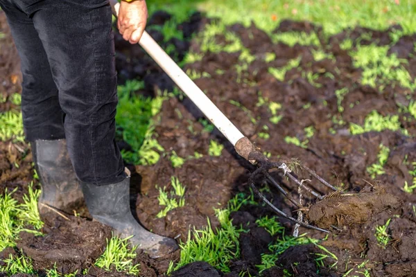 Bauer, der im Frühling im Garten arbeitet. Düngung des Rasenfeldes, ökologisches Anbaukonzept — Stockfoto