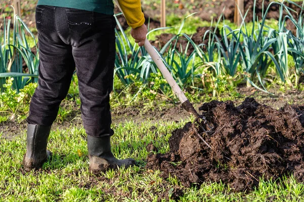 Agricoltore operaio nel giardino autunnale. Concime organico per concimazione del terreno, preparazione del terreno per la semina in primavera, concetto di agricoltura biologica . — Foto Stock