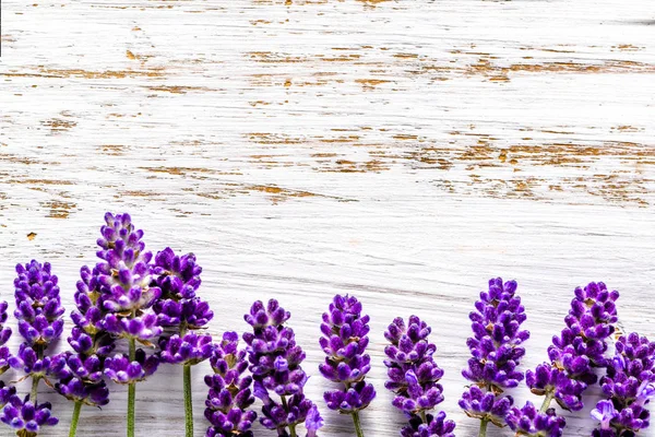 Lavender λουλούδια πλαίσιο σε λευκό φόντο ξύλινες, εναέριες — Φωτογραφία Αρχείου