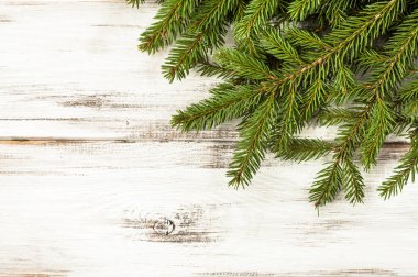 ahşap zemin üzerine yeşil Noel ağacı dalı