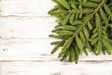 Yeşil çam çerçeve, Noel arka plan, kopya alanı