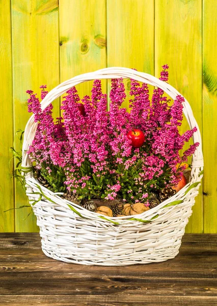 Bloem van heather in de mand, herfst bloemen achtergrond, shabby chique rustieke patroon — Stockfoto