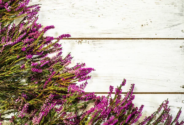 Heather çiçekler, sonbahar arka plan, eski püskü şık çerçeve
