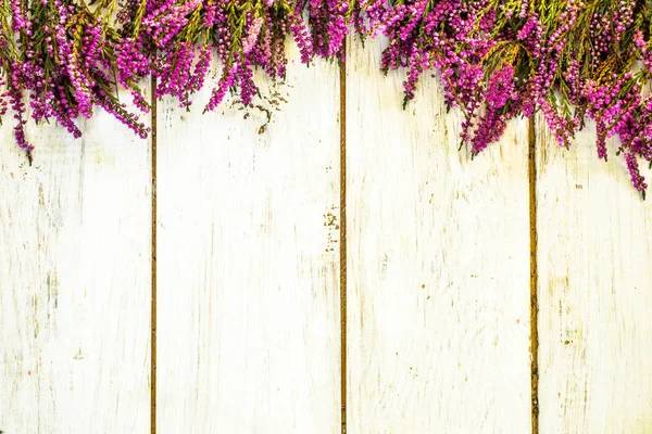 Heather çiçekler, sonbahar arka plan, eski püskü şık çerçeve