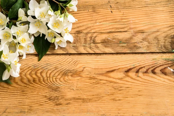 Jasmine blossom, vårens och sommarens blommor på trä bakgrund, mors dag adresskortsmallen — Stockfoto