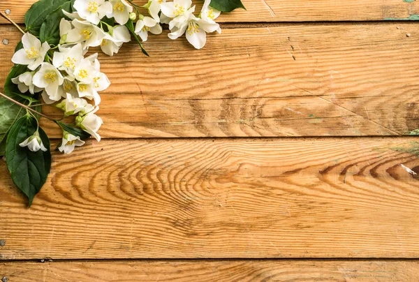 Jasmine blossom, vårens och sommarens blommor på trä bakgrund, mors dag adresskortsmallen — Stockfoto