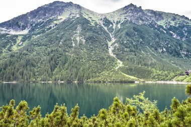 Dağ gölü zümrüt renkli Morskie Oko Tatra Dağları olarak temiz su ile peyzaj