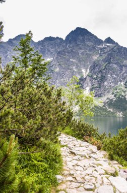 Dağ gölü, Zakopane, üst üzerinde gökyüzü arka plan, Karpatlar, Polonya Tatra Dağları görünümü yakınındaki Morskie Oko peyzaj