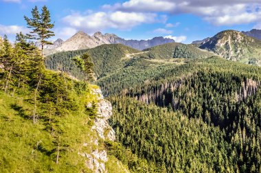 Tatra Dağları'nın manzara orman, Nosal üstten görünüm kaplı. Güzellikler zirveleri mavi gökyüzü arka planda, Zakopane, Polonya ile