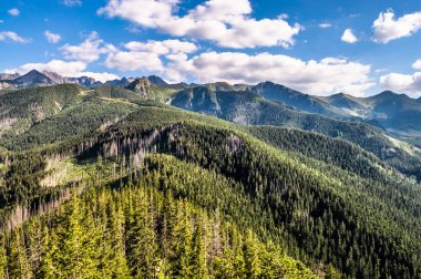Tatra Dağları'nın manzara orman, Nosal üstten görünüm kaplı. Güzellikler zirveleri mavi gökyüzü arka planda, Zakopane, Polonya ile