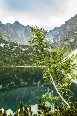 Dağ gölü, Zakopane, dizi gökyüzü arka planda, Karpatlar, Polonya Tatra Dağları görünümü yakınındaki Morskie Oko peyzaj