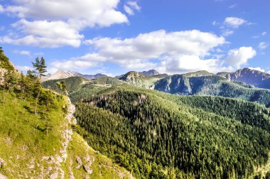 Tatra Dağları'nın manzara orman, Nosal üstten görünüm kaplı. Güzellikler zirveleri mavi gökyüzü arka planda, Zakopane, Polonya ile
