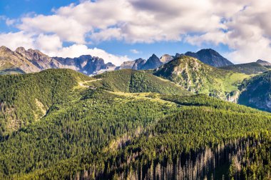 Tatra Dağları'nın manzara orman, Nosal üstten görünüm kaplı. Güzellikler zirveleri mavi gökyüzü arka planda, Zakopane, Polonya ile