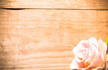 Sevgililer günü veya kart için kadınlar günü, çiçek arka plan için pembe Gül