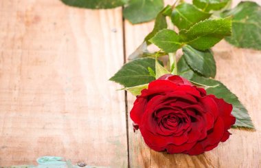 Ahşap arka plan, Sevgililer günü kartı şablonu üzerinde kırmızı gül
