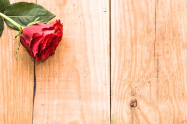 Ahşap arka plan, Sevgililer günü kartı şablonu üzerinde kırmızı gül