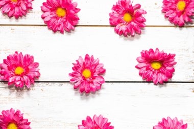 Gerbera çiçekleri, kadınlar günü için Bahar arka plan veya kart anneler günü için